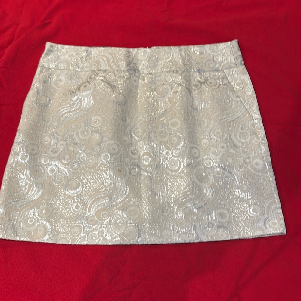 Special holiday skirt. Silver and metallic.